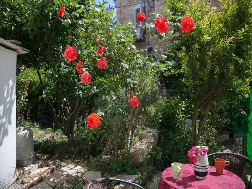 Alona'S Apartments Χάιφα Εξωτερικό φωτογραφία